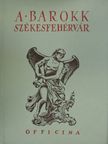 Say Géza - A barokk Székesfehérvár [antikvár]