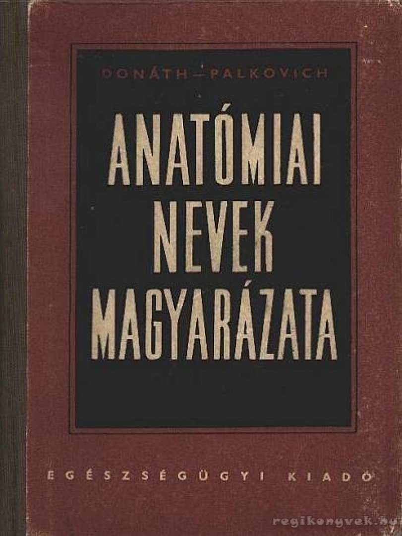 Dr. Donáth Tibor, Palkovich Imre - Anatómiai nevek magyarázata [antikvár]