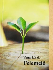 Varga László - Felemelő [antikvár]