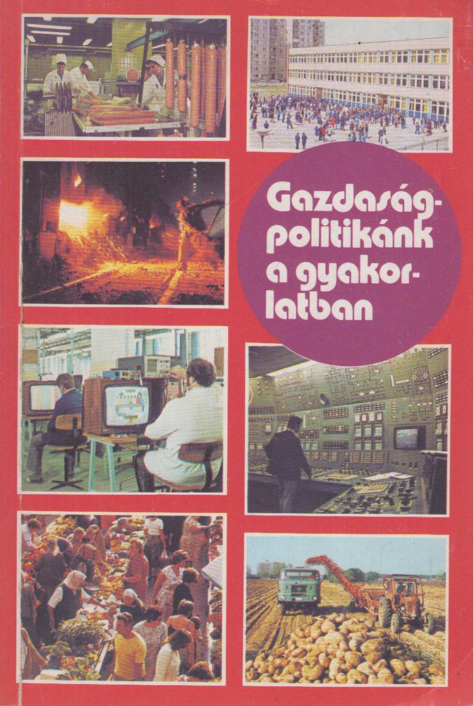 Laczó Ferenc (szerk.) - Gazdaságpolitikánk a gyakorlatban [antikvár]