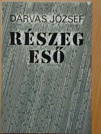 Darvas József - Részeg eső [antikvár]