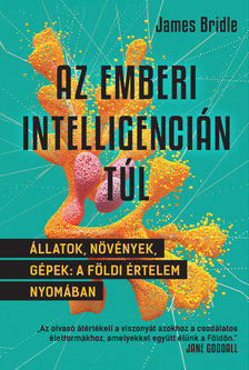 James Bridle - Az emberi intelligencián túl [eKönyv: epub, mobi]