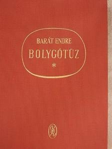 Barát Endre - Bolygótűz [antikvár]