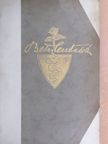 Sebess Dénes - Bethlen István gróf [antikvár]
