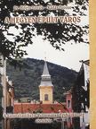 Dr. Hőgye István - A hegyen épült város [antikvár]
