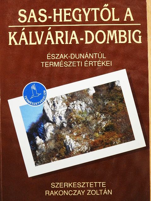 Csapóné Felleg Ágota - Sas-hegytől a Kálvária-dombig [antikvár]