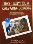 Csapóné Felleg Ágota - Sas-hegytől a Kálvária-dombig [antikvár]