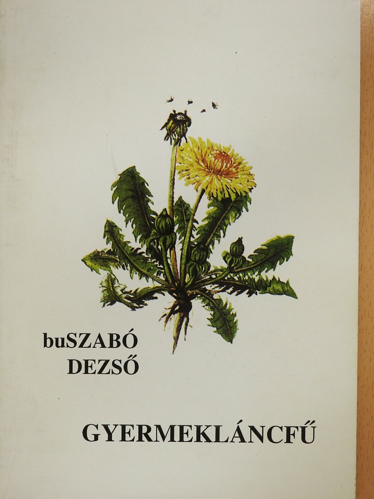 BuSzabó Dezső - Gyermekláncfű (dedikált példány) [antikvár]