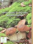 Gécziné Nagy Mária - Ízelítő Abaúj és Zemplén gombavilágából  [antikvár]