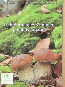 Gécziné Nagy Mária - Ízelítő Abaúj és Zemplén gombavilágából  [antikvár]