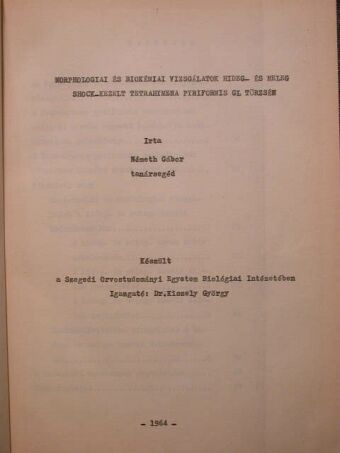 Németh Gábor - Morphologiai és biokémiai vizsgálatok hideg- és meleg shock-kezelt tetrahymena pyriformis GL törzsén [antikvár]