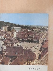 Iulian Neacsu - Brasov [antikvár]