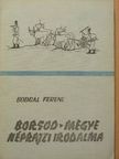 Bodgál Ferenc - Borsod-megye néprajzi irodalma II. [antikvár]