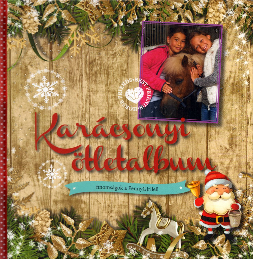 Karácsonyi ötletalbum [antikvár]
