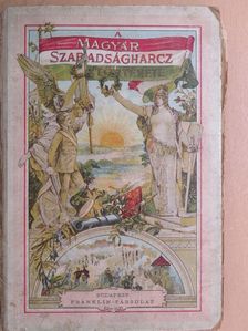 Brankovics György - A magyar szabadságharcz története (rossz állapotú) [antikvár]