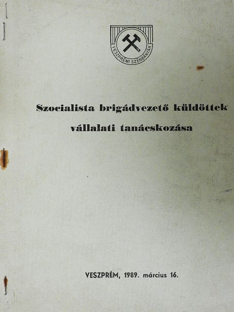 Szocialista brigádvezető küldöttek vállalati tanácskozása 1989 [antikvár]