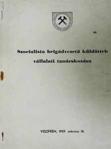Szocialista brigádvezető küldöttek vállalati tanácskozása 1989 [antikvár]