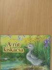 Lascu Éva - A rút kiskacsa [antikvár]