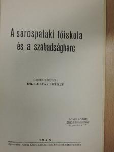 Dr. Gulyás József - A sárospataki főiskola és a szabadságharc [antikvár]