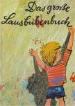 Robert Schneider - Das große Lausbubenbuch [antikvár]