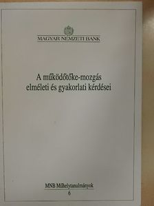 Dr. Árva László - A működőtőke-mozgás elméleti és gyakorlati kérdései [antikvár]