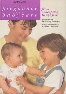 Penny Stanway - New Guide to Pregnancy and Babycare [antikvár]
