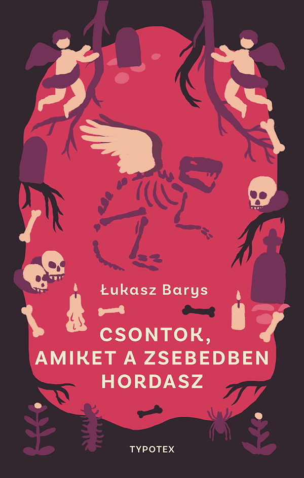 £ukasz Barys - Csontok, amiket a zsebedben hordasz [eKönyv: epub, mobi, pdf]