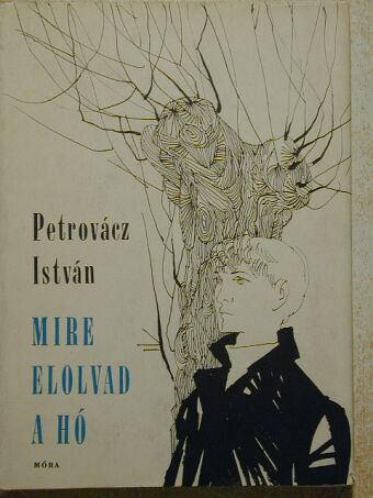 Petrovácz István - Mire elolvad a hó [antikvár]