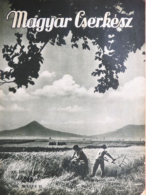 Bárány Tamás - Magyar Cserkész 1939. július 15. [antikvár]