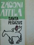Zágoni Attila - Sánta pegazus [antikvár]