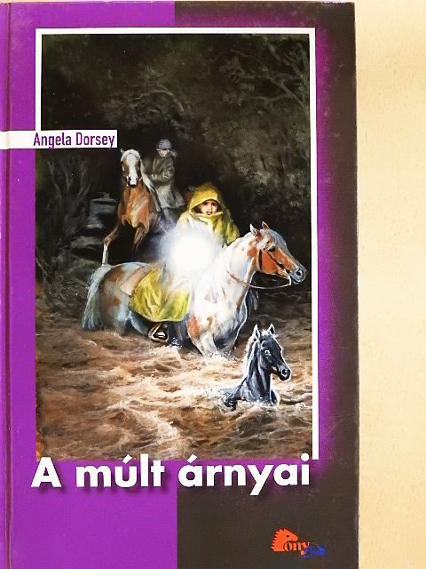 Angela Dorsey - A múlt árnyai [antikvár]