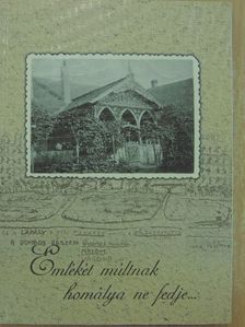 Berencsi György - Emlékét múltnak homálya ne fedje... [antikvár]