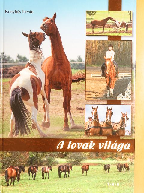 Konyhás István - A lovak világa [antikvár]