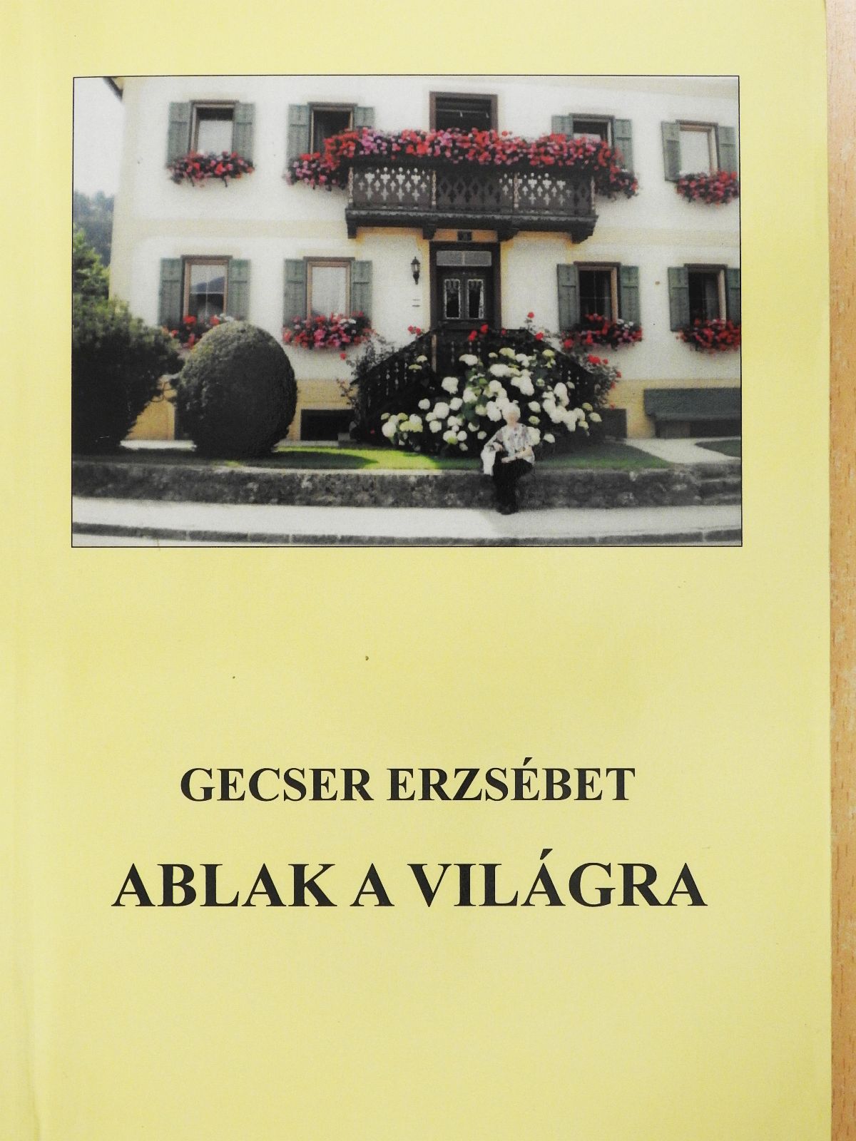 Gecser Erzsébet - Ablak a világra (dedikált példány) [antikvár]
