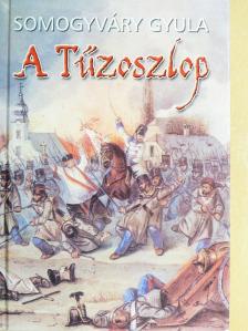 Somogyváry Gyula - A Tűzoszlop [antikvár]