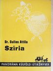 Dr. Dallos Attila - Szíria [antikvár]