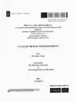 Dereskey Anna - Utazási irodai menedzsment [antikvár]