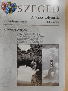 Arany Mihály - Szeged 2013. június [antikvár]