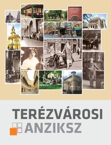 Terézvárosi anziksz [szépséghibás]