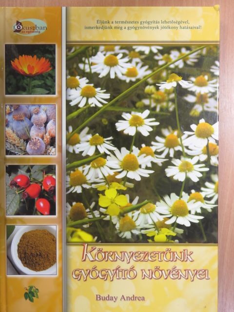 Buday Andrea - Környezetünk gyógyító növényei [antikvár]