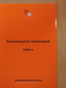 Fülöp Melinda - Önkormányzati várakozások 2000-re [antikvár]