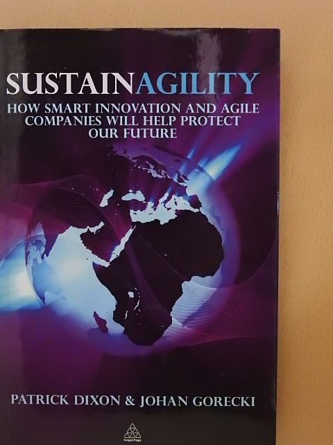 Johan Gorecki - Sustainagility [antikvár]