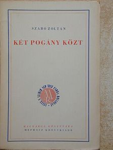 Szabó Zoltán - Két pogány közt [antikvár]