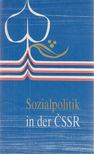 Jaroslava Bauerová - Sozialpolitik in der ČSSR [antikvár]