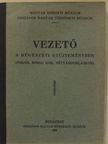 Dr. Fettich Nándor - Vezető a régészeti gyűjteményben [antikvár]