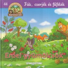 Feryal Kanbay, Stephan Gürtler - Erdei gyümölcsök [antikvár]