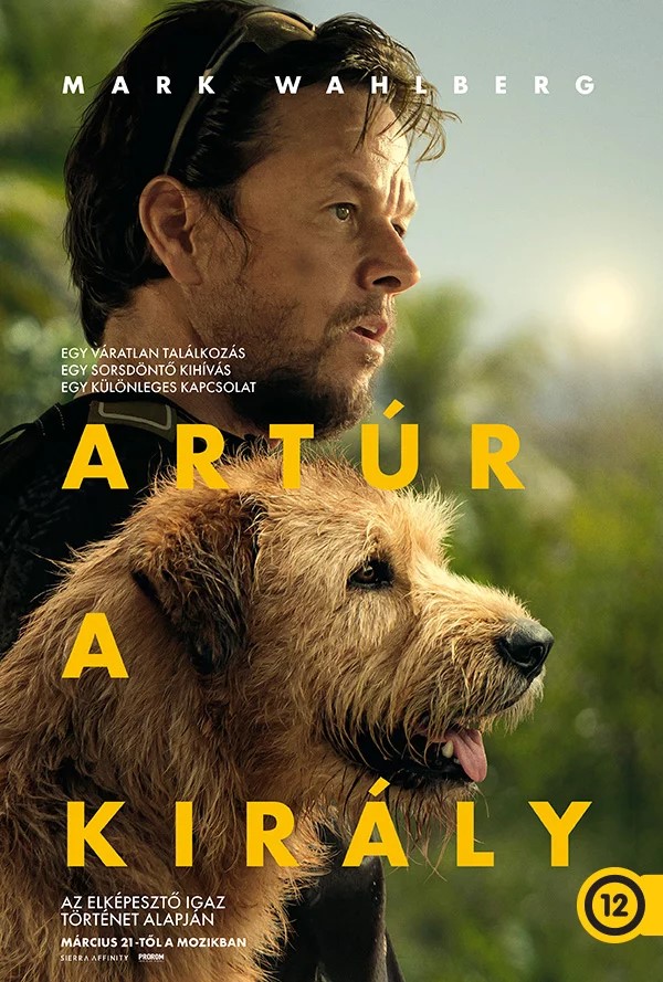 ARTÚR A KIRÁLY - DVD
