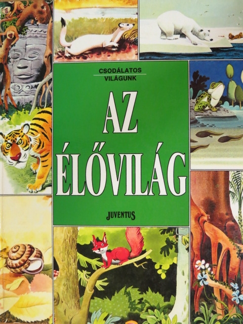 Ballér Judit - Az élővilág [antikvár]