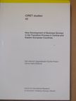 E. Gorzelak - New Development of Business Surveys in the Transition Process in Central and Eastern European Countries [antikvár]