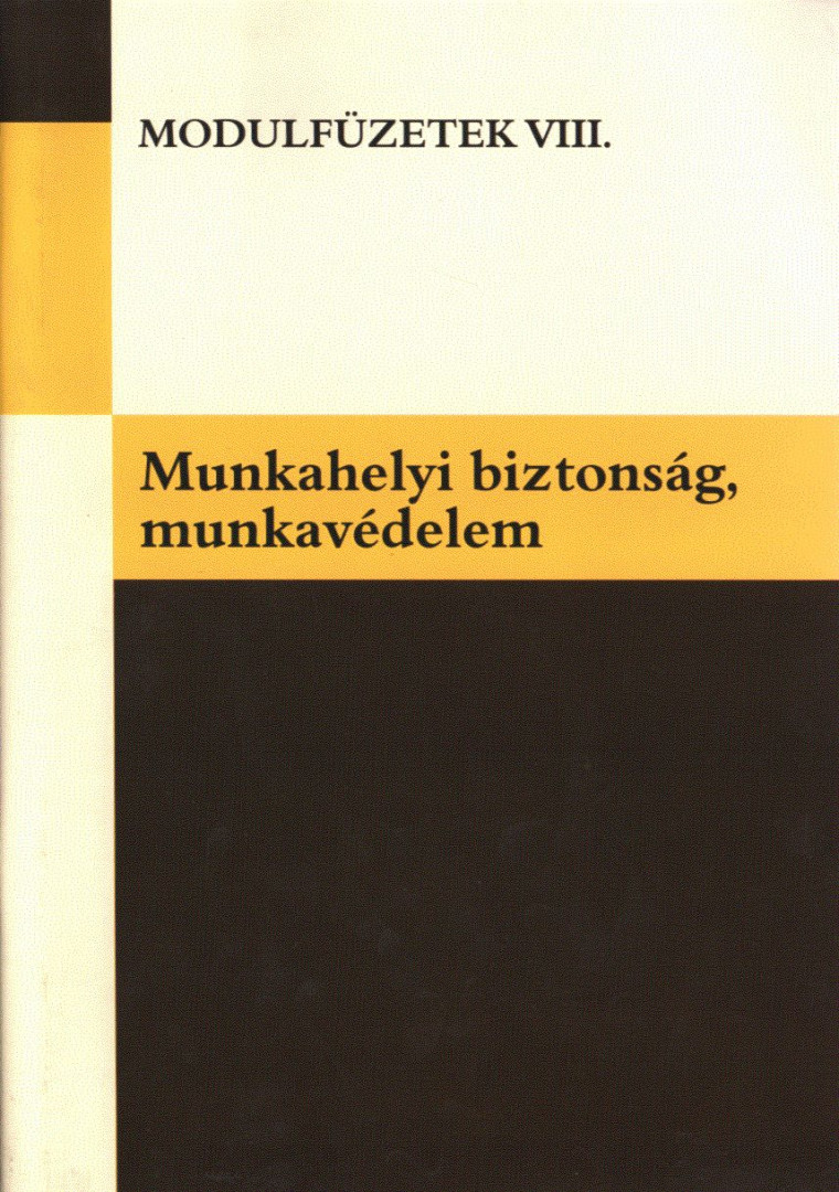 Borhidi Gábor - Munkahelyi biztonság, munkavédelem [antikvár]